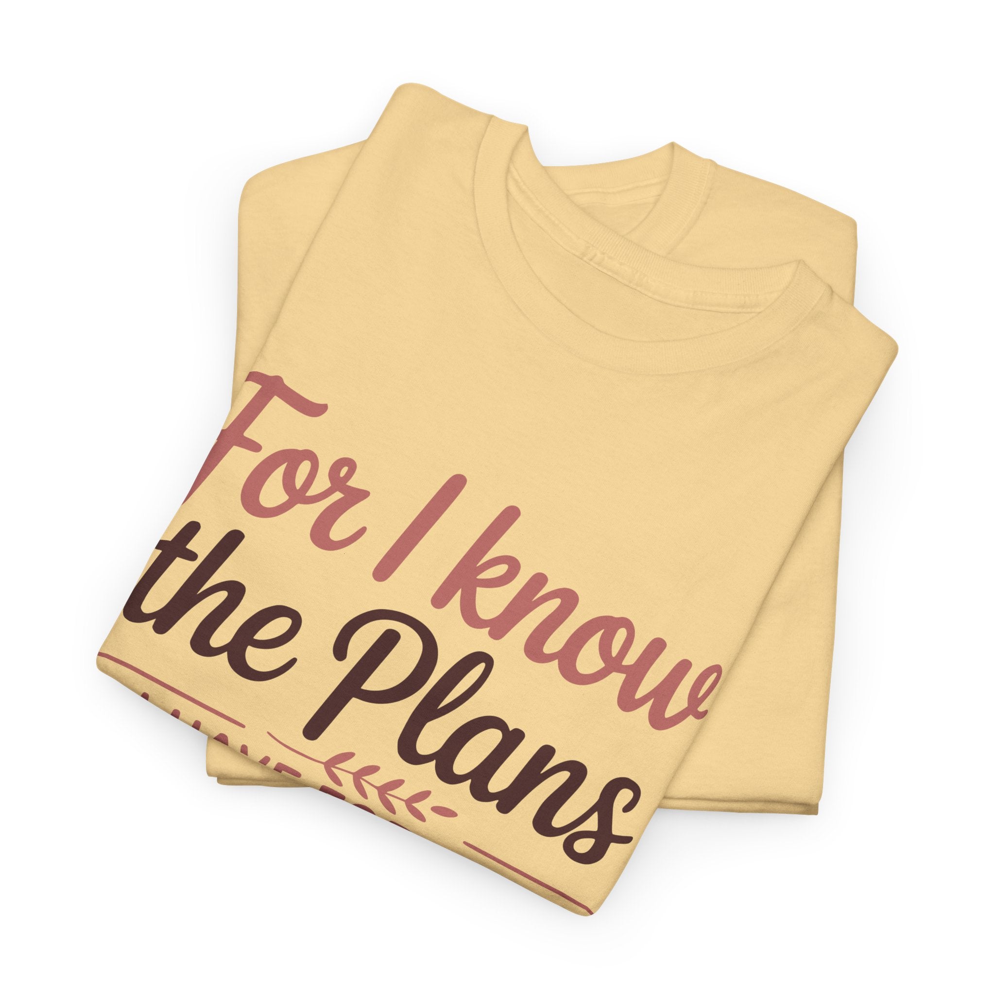 Jeremiah 29:11 Shirt — For I Know the Plans