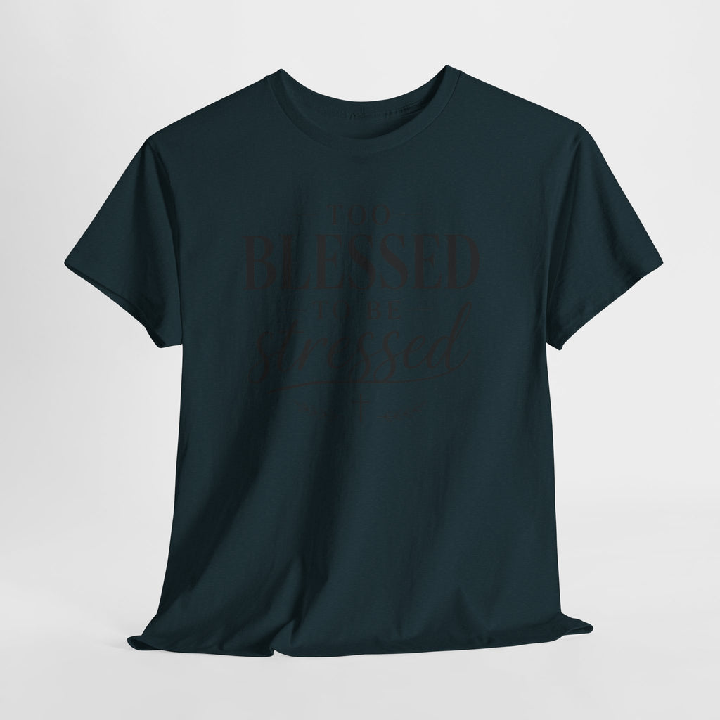 Too Blessed To Be Stressed T-Shirt