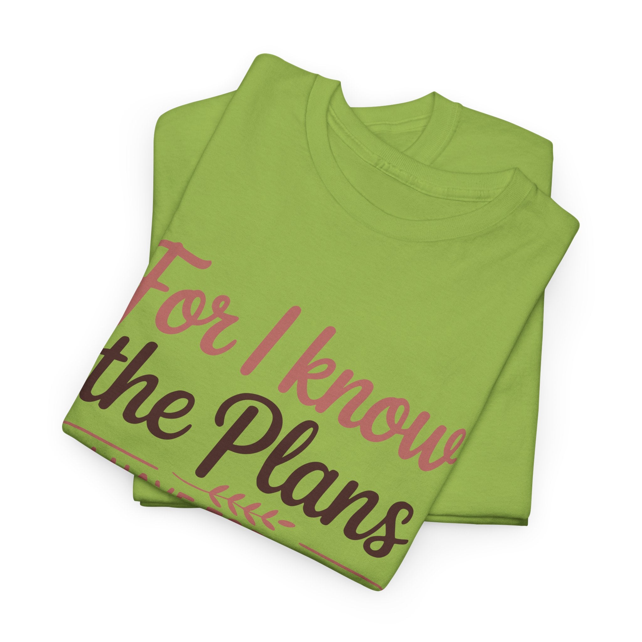 Jeremiah 29:11 Shirt — For I Know the Plans