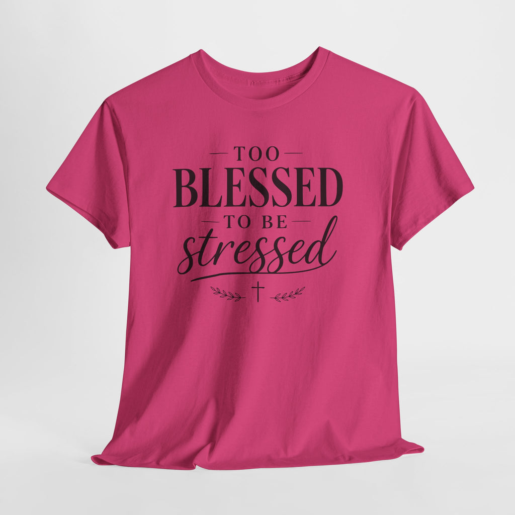 Too Blessed To Be Stressed T-Shirt