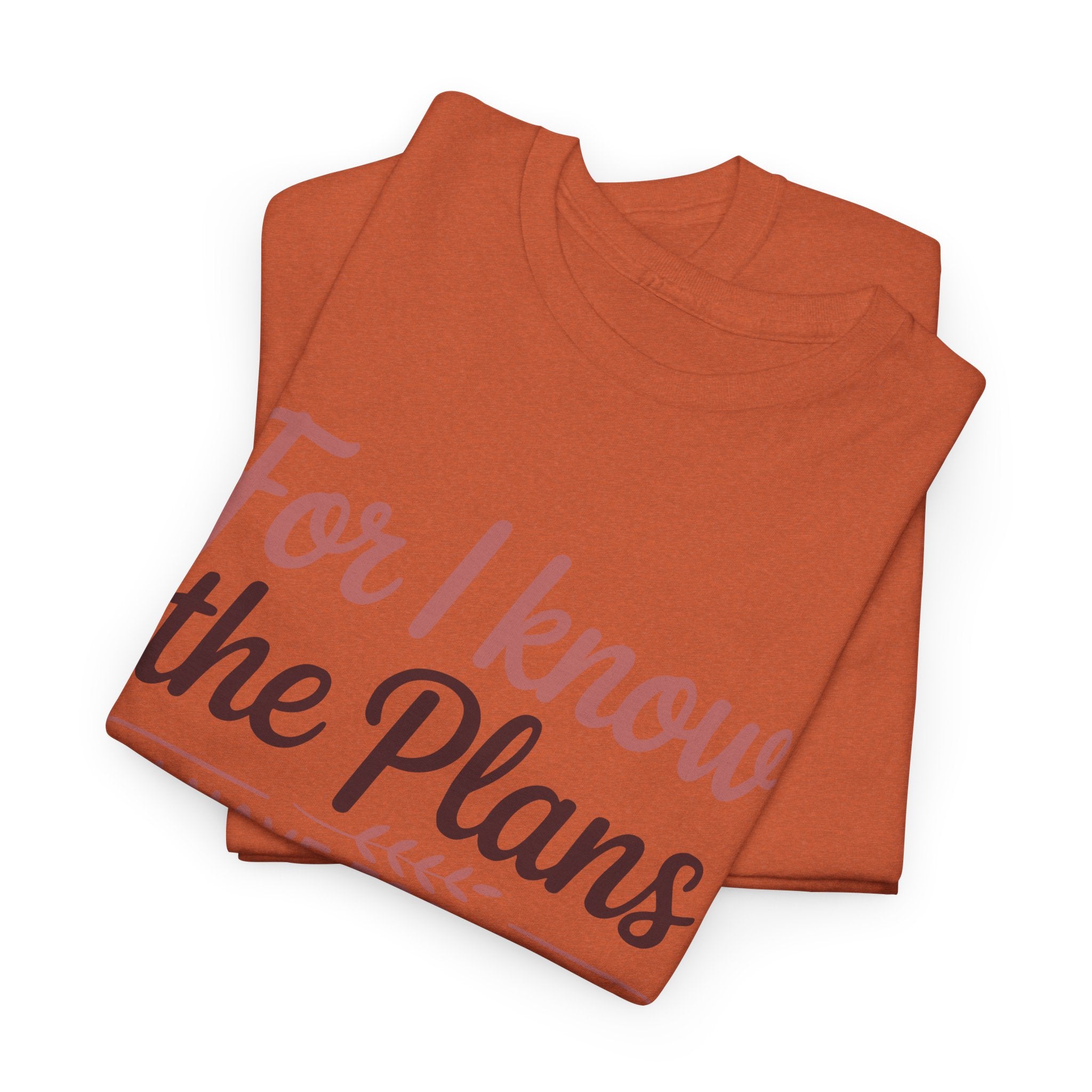 Jeremiah 29:11 Shirt — For I Know the Plans